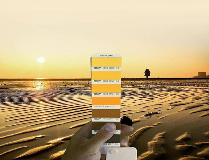 CÔNG TY CỔ PHẦN SƠN HOUSE CAPITAL VIỆT NAM