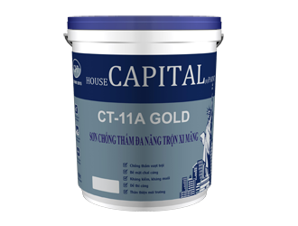 CHỐNG THẤM ĐA NĂNG